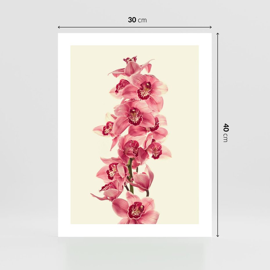 Plakat bez ramy 30x40 - Orchidea w spa - relaks - orchidea, spa