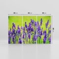 Obraz na płótnie 120x80 - Lawenda w naturze - lawenda, kwiaty