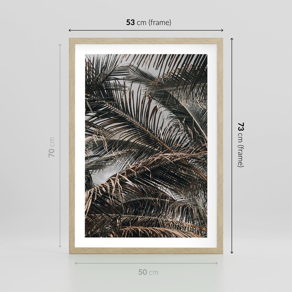 Plakat w ramie 50x70 - Liściaste Palmy - palmy, drzewa palmowe - rama drewno