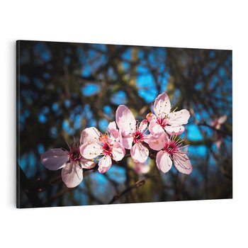 Obraz na płótnie 100x70 - Kwiatowe piękno w pełnym rozkwicie - kwiat, kwiaty