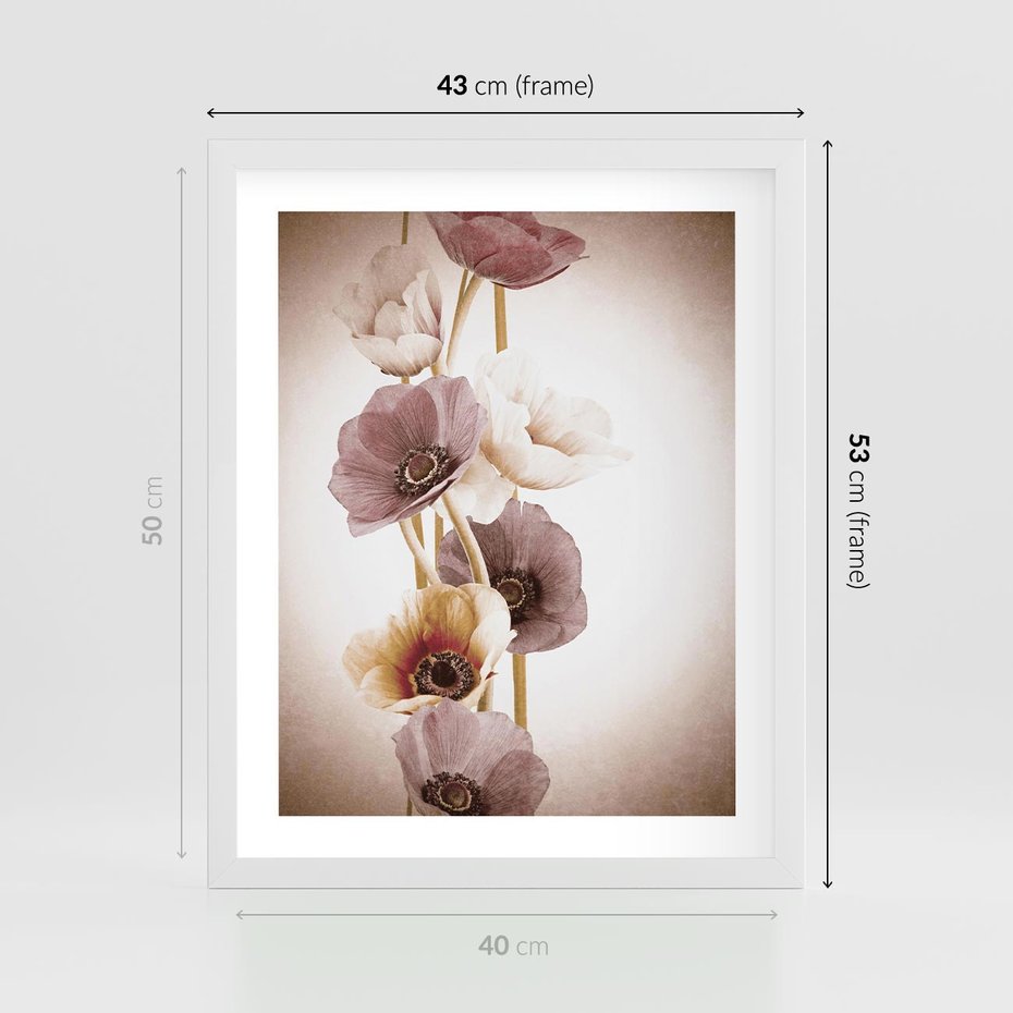 Plakat w ramie 40x50 - Eksplozja kolorów - akwarela, maki - rama biała