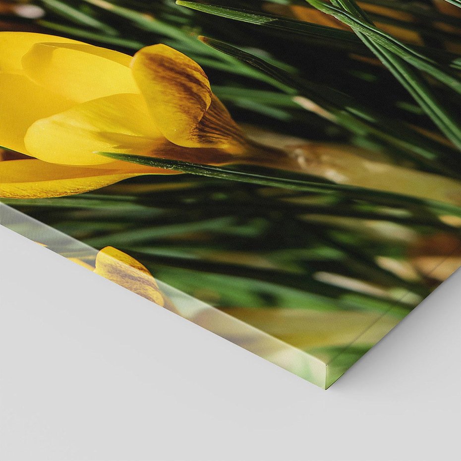 Obraz na płótnie 80x120 - Kwiatowe uniesienia natury - kwiat, kwiaty