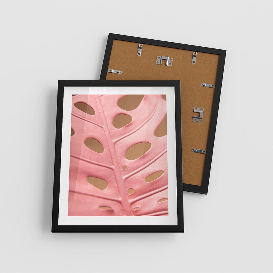 Plakat w ramie 40x50 - Różowa monstera w pełnym rozkwicie - różowa, monstera - rama czarna