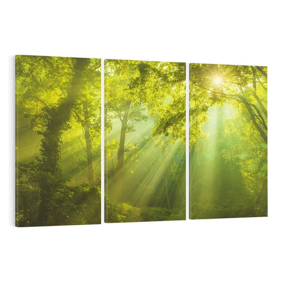 Obraz na płótnie 120x80 - drzewa w harmonii - las, drzewa