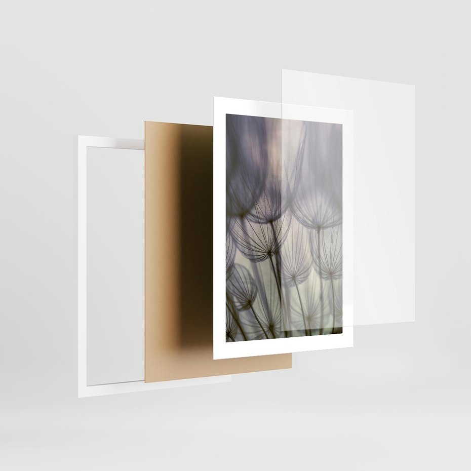 Plakat w ramie 30x40 - Makro dmuchawiec - piękno drobnych detali - dmuchawce, makro - rama biała