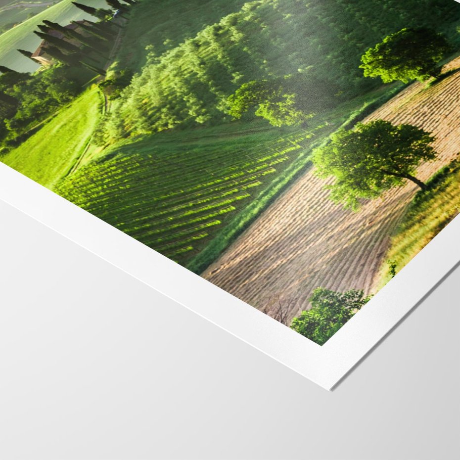 Plakat bez ramy 40x50 - Prowansja: malownicze winnice w kraju Włoch - Prowansja, Włochy