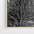 Obraz w ramie 70x50 - Pustynny Klimat - czarno białe zdjecie, pustynia - rama drewno