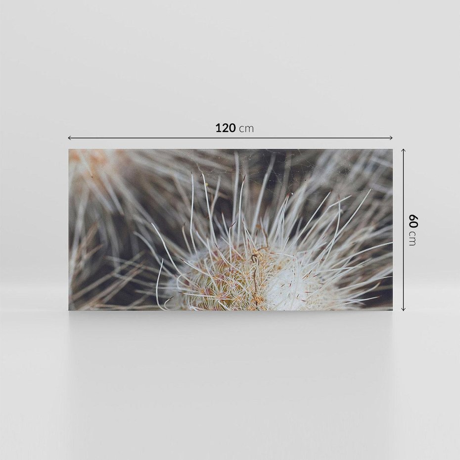 Obraz na płótnie 120x60 - Ulotna Piękność Natury - makro, dmuchawce