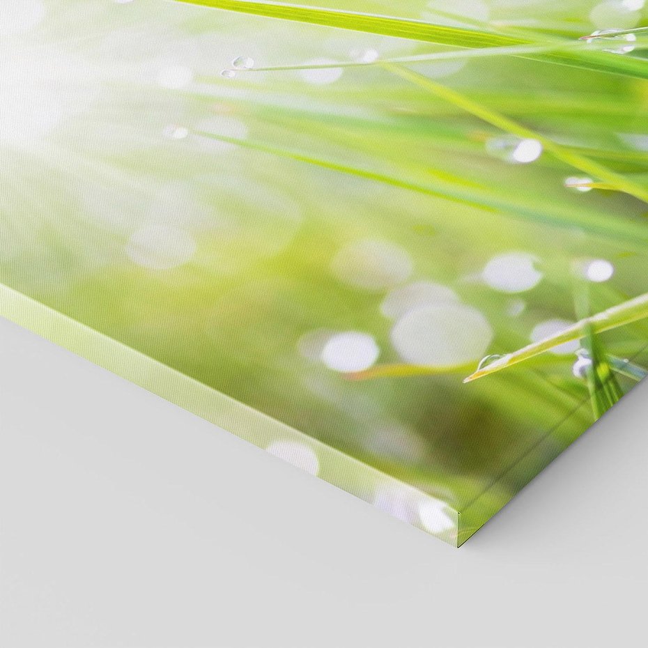 Obraz na płótnie 120x80 - Delikatna trawa pokryta rosą - trawa, rosa