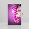 Obraz na płótnie 50x70 - Relaksująca orchidea w spa - spa, orchidea