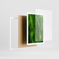 Plakat w ramie 50x70 - Bambusowy urok zielonej harmonii - bambus, zieleń - rama biała