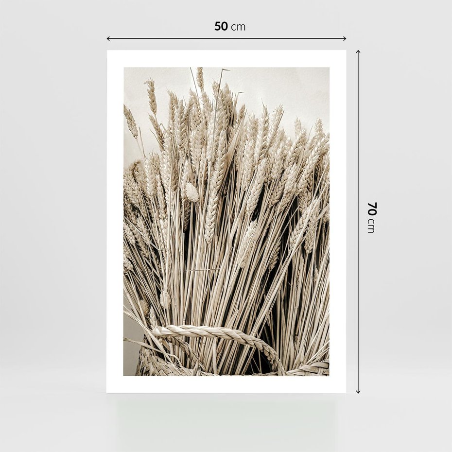 Plakat bez ramy 50x70 - Letni Plon - zboże, kłosy zboża