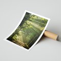 Plakat bez ramy 30x40 - harmonia natury - las, drzewa