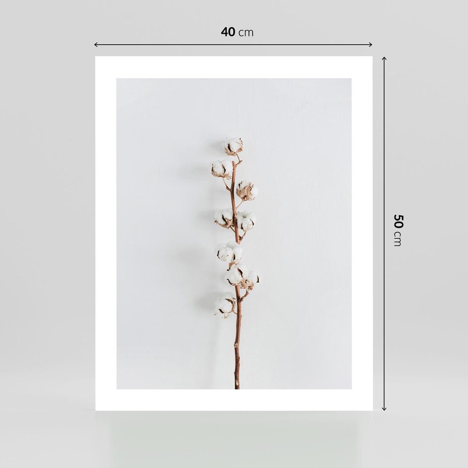 Plakat bez ramy 40x50 - Minimalistyczna Gałązka Bawełny - bawełna, gałązka bawełny