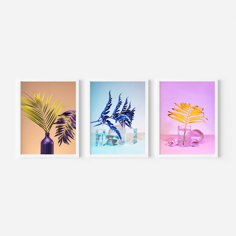 Zestaw obrazy w ramie 50x70 galeria - Palmy, paprocie, liście, pastele - rama biała