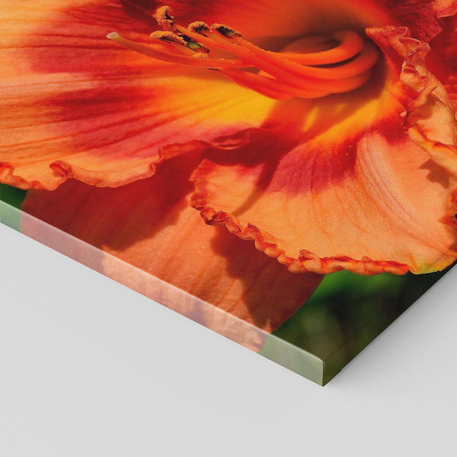 Obraz na płótnie 70x70 - Kwiatowa harmonia natury - kwiat, kwiaty