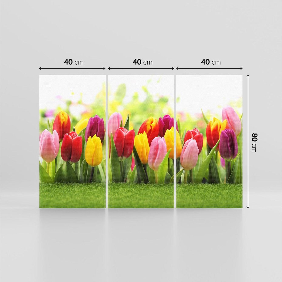 Obraz na płótnie 120x80 - delikatność kwiatowego świata - tulipany, kwiaty