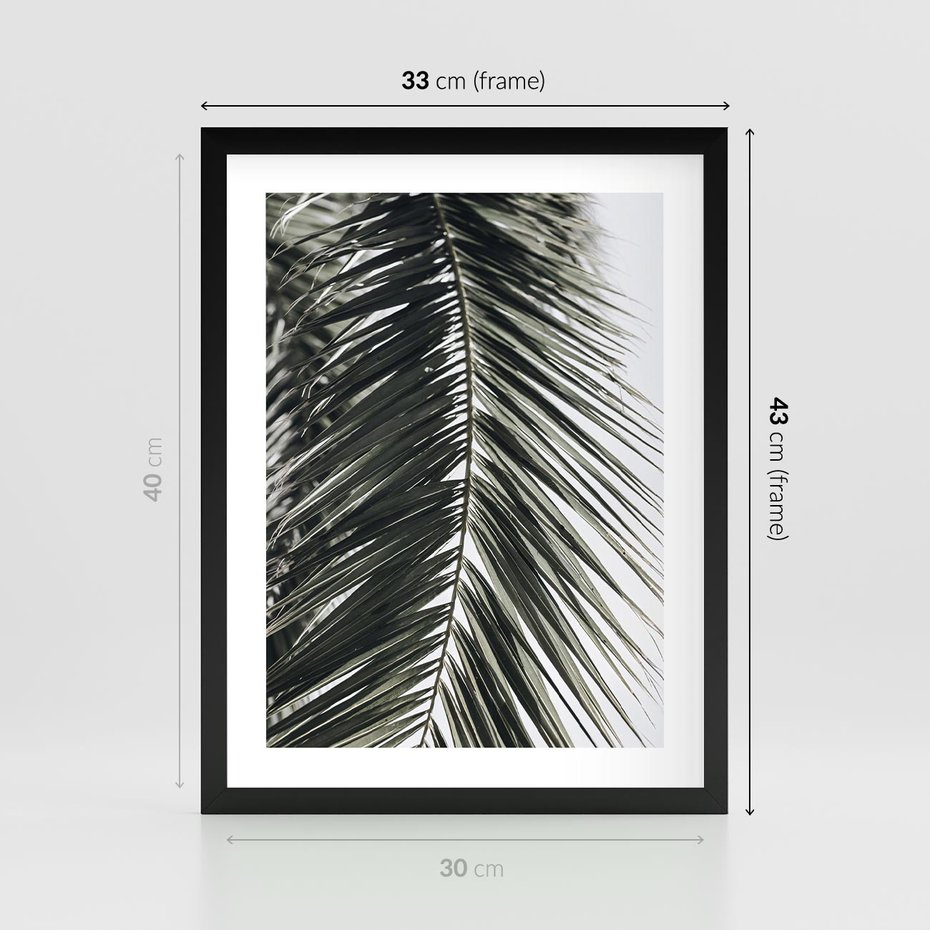 Plakat w ramie 30x40 - Liść Palmy: Egzotyczny Detal Natury - palma, liść palmy - rama czarna