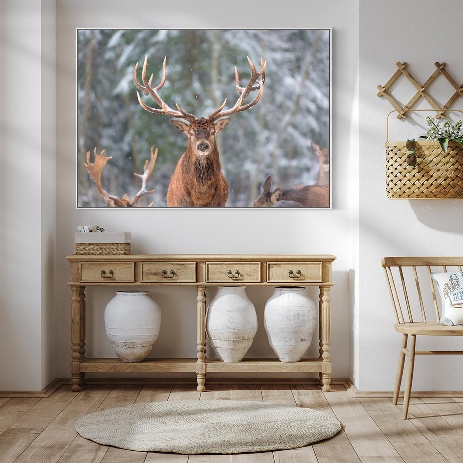 Obraz w ramie 70x50 - Monarcha Zimowej Dziczy - jeleń, zima - rama biała