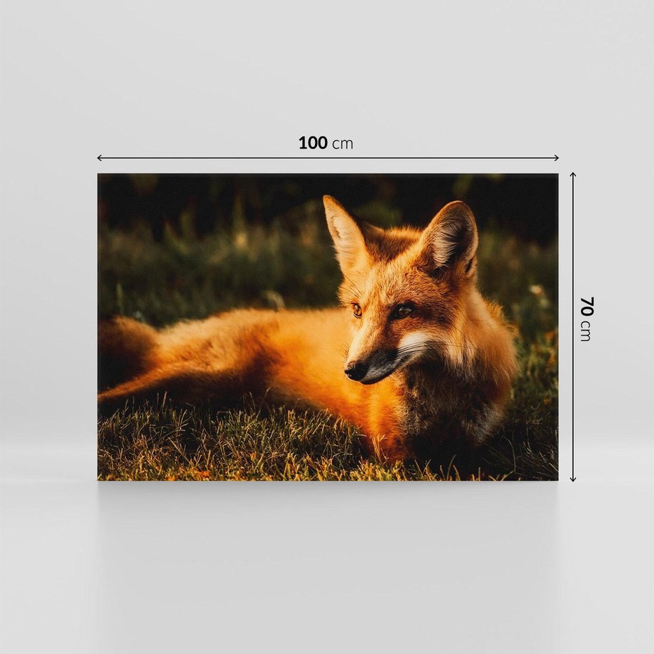 Obraz na płótnie 100x70 - Lisek w lesie - lis, lisek