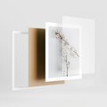 Plakat w ramie 40x50 - Gałęzie Bawełny na Białym Tle - gałęzie bawełny na białym tle, minimalizm - rama biała