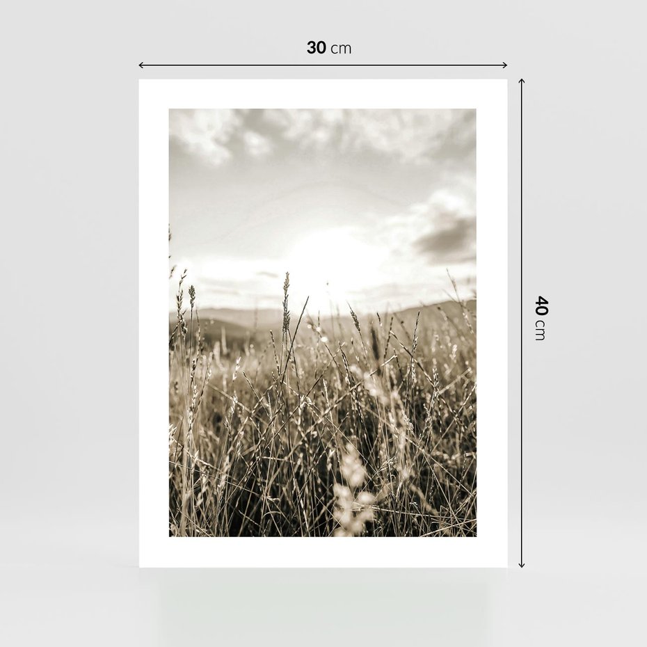 Plakat bez ramy 30x40 - Łąka w Klimacie Sepii - suche trawy, łąka