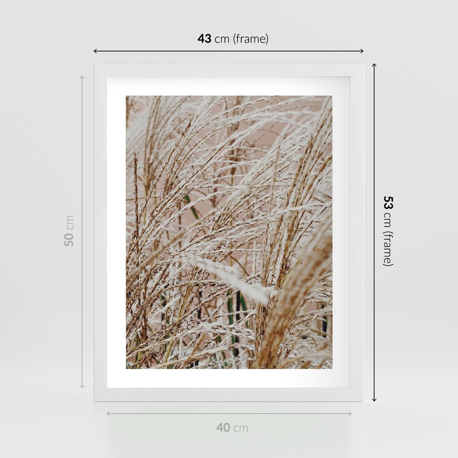 Plakat w ramie 40x50 - Beżowa Trawa - suche trawy, zbliżenie - rama biała