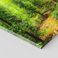 Obraz na płótnie 80x80 - Współistnienie z naturą - drzewa, las