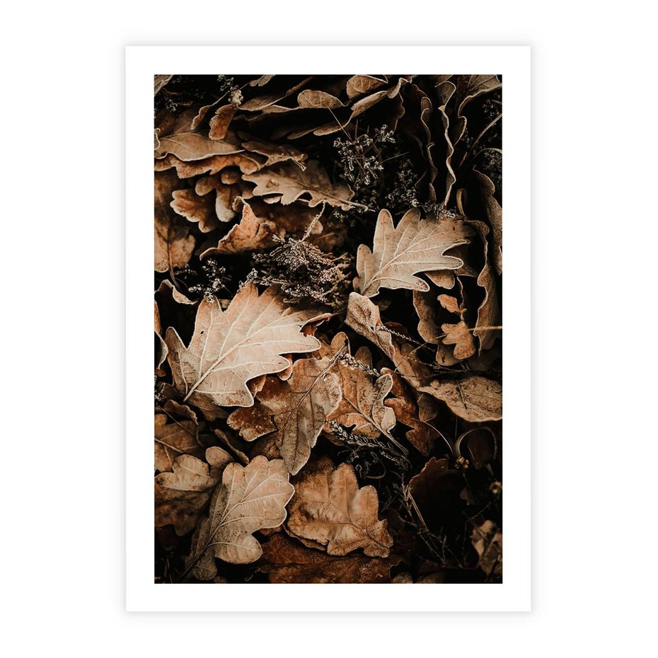 Plakat bez ramy 40x50 - Jesienna Melodia: Liście i Szyszki - suche liście, szyszki