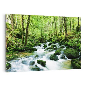 Obraz na płótnie 120x80 - Spokój Wodospadu: Las i Drzewa - wodospad, las