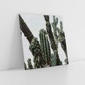 Obraz na płótnie 30x30 - Boho oaza wśród kaktusów - kaktusy, pustynia