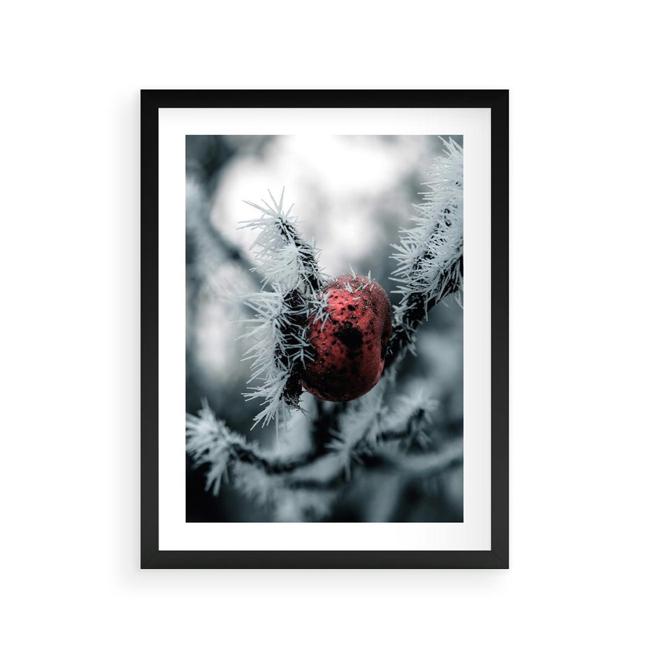 Plakat w ramie 30x40 - Chwila Zimowego Uroku - zima, ośnieżona gałązka - rama czarna
