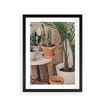 Plakat w ramie 50x70 - Boho Oaza: Kaktusy w Doniczkach - rośliny kaktusy w doniczkach, boho wnętrze - rama czarna