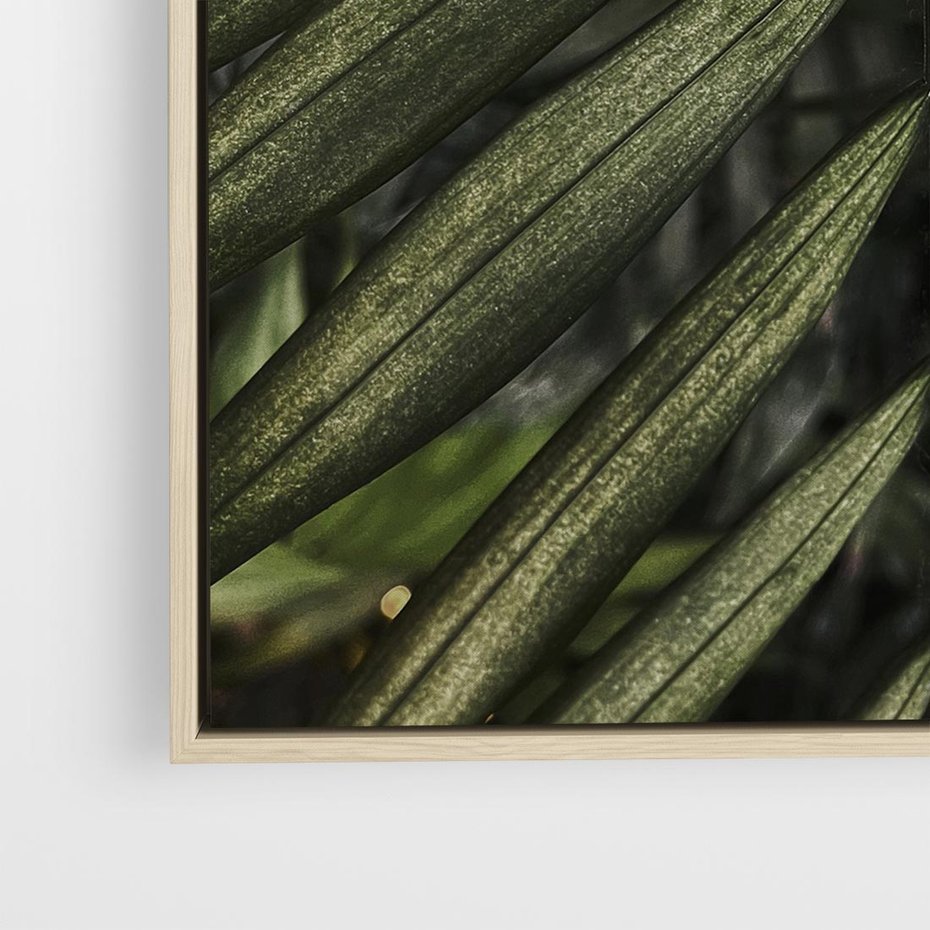 Obraz w ramie 50x50 - W Liściach Ukryte - zdjęcie, fotografia - rama drewno