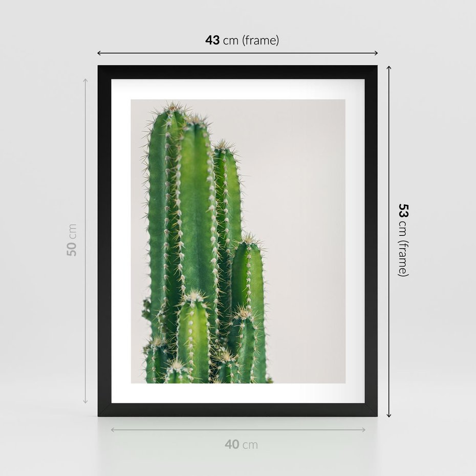 Plakat w ramie 40x50 - Minimalistyczne Kaktusy na Białym Tle - kaktusy, minimalistyczna fotografia - rama czarna