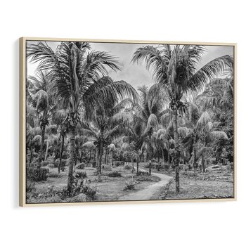 Obraz w ramie 120x80 - Mroczna Ścieżka Tropików - czarno biała fotografia, ścieżka pośród palm - rama drewno