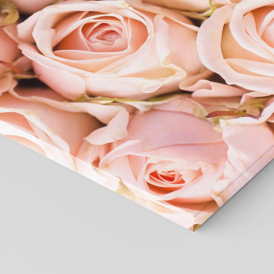 Obraz na płótnie 50x70 - Delikatność róż - piękno natury - róże, kwiaty