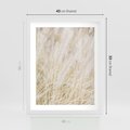 Plakat w ramie 40x50 - Białe Trawy Pampas - suche trawy, białe trawy - rama biała