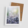 Plakat w ramie 50x70 - Delikatna Uroda Natury - wrzosy, fiolet - rama biała