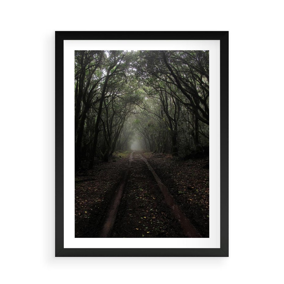 Plakat w ramie 50x70 - Urok Drogi - las, droga - rama czarna