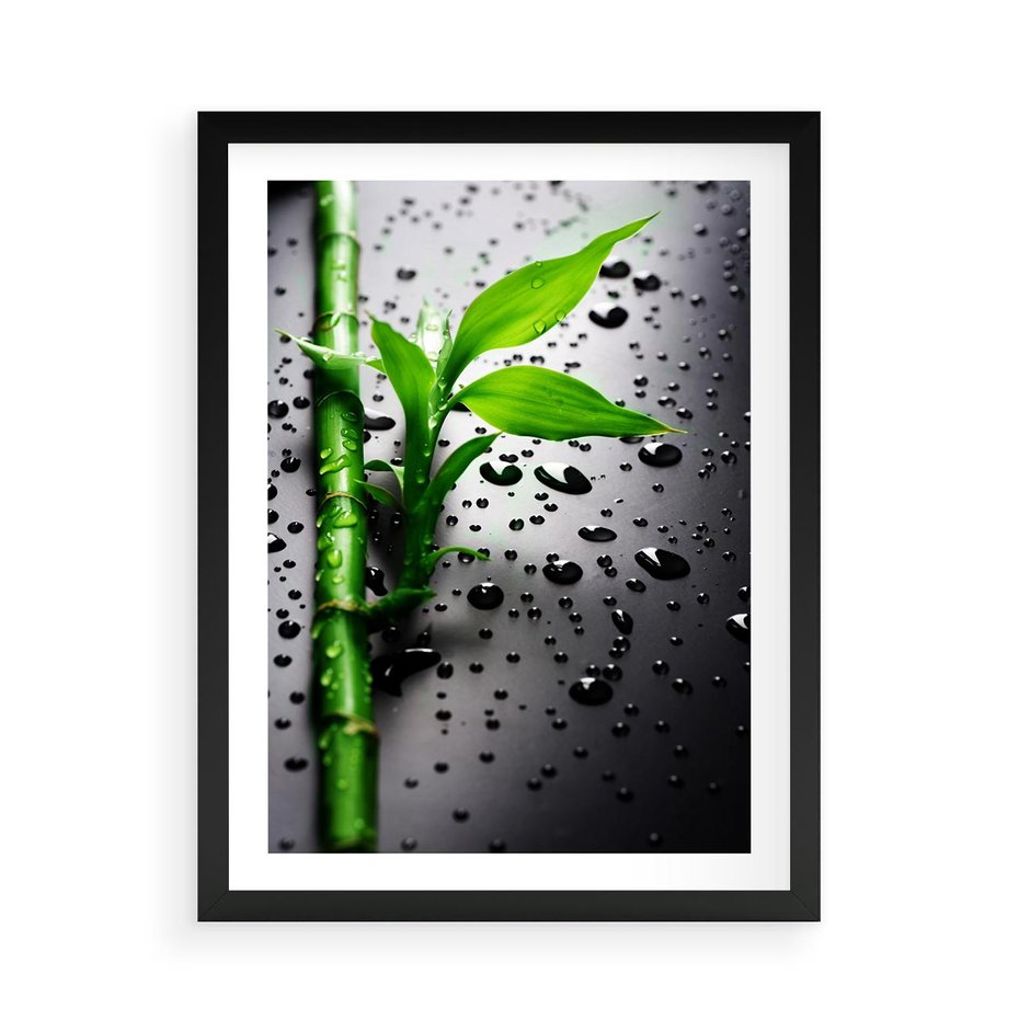Plakat w ramie 50x70 - Bambusowa Harmonia - bambus, liście - rama czarna