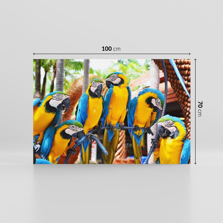 Obraz na płótnie 100x70 - Kolorowa parada papug - papuga, papugi