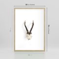 Plakat w ramie 50x70 - Minimalistyczne Poroże Jelenia - poroże jelenia na ścianie, minimalizm - rama drewno