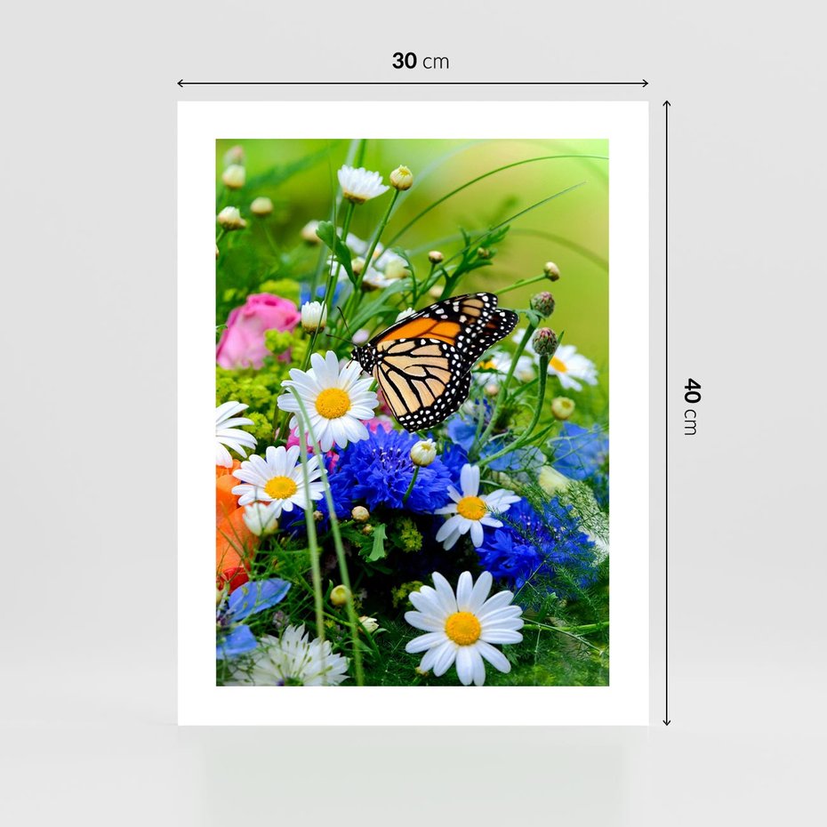 Plakat bez ramy 30x40 - Kwiatowy Taniec - motyl, kwiaty
