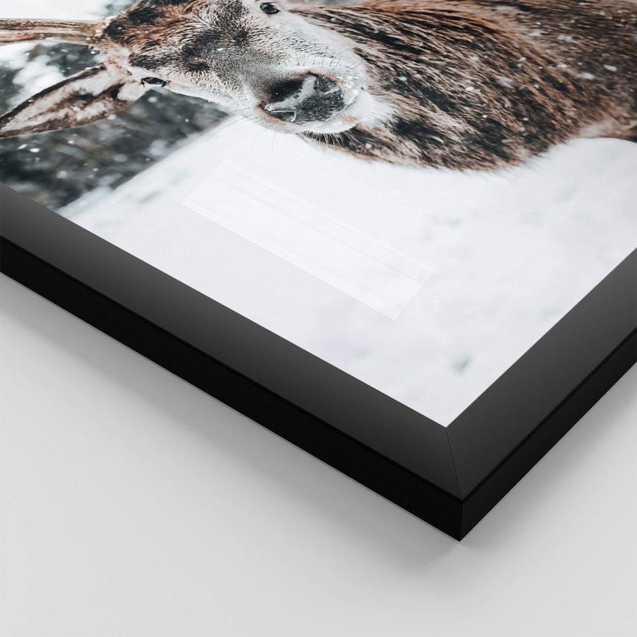 Zestaw obrazy w ramie 50x70 galeria - Jeleń, bizon, zima, retro - rama czarna