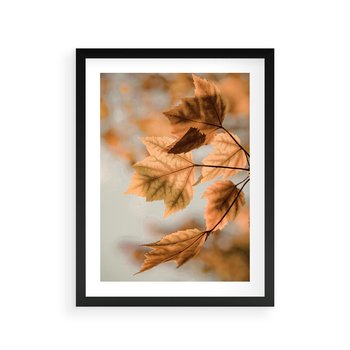 Plakat w ramie 30x40 - Magia Jesieni - liście, jesień - rama czarna
