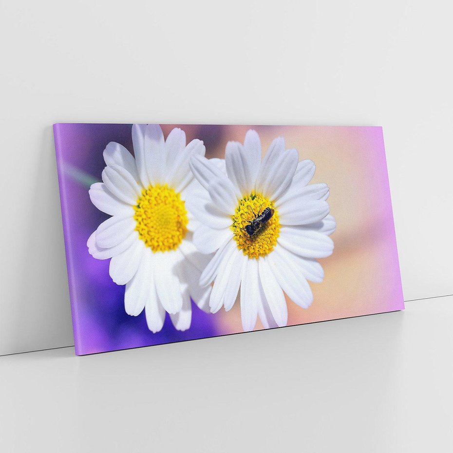 Obraz na płótnie 140x70 - Stokrotki wśród traw urok natury - stokrotki, kwiat