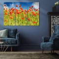 Obraz na płótnie 120x80 - Delikatne maki na kolorowej łące - mak, maki