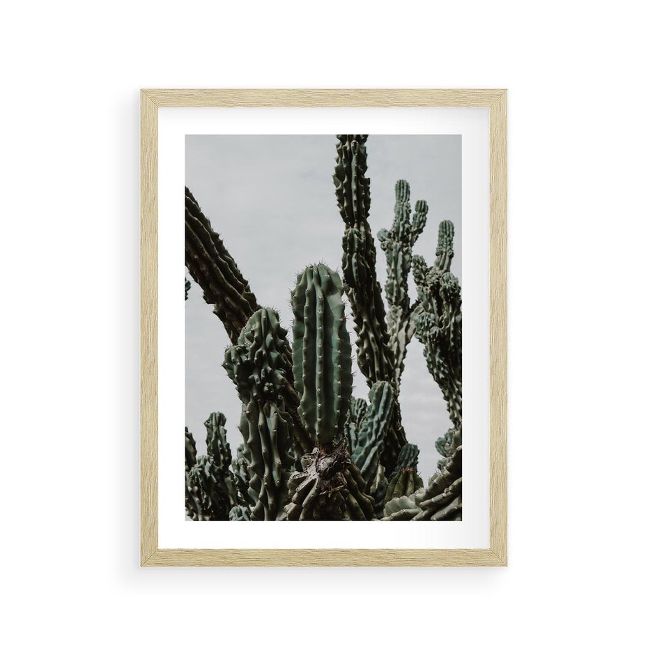 Plakat w ramie 30x40 - Boho oaza wśród kaktusów - kaktusy, pustynia - rama drewno