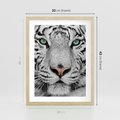 Plakat w ramie 30x40 - Magia Białego Tygrysa - biały, tygrys - rama drewno